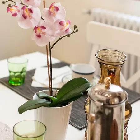 Ve-nice Rio Marin Sc847 *