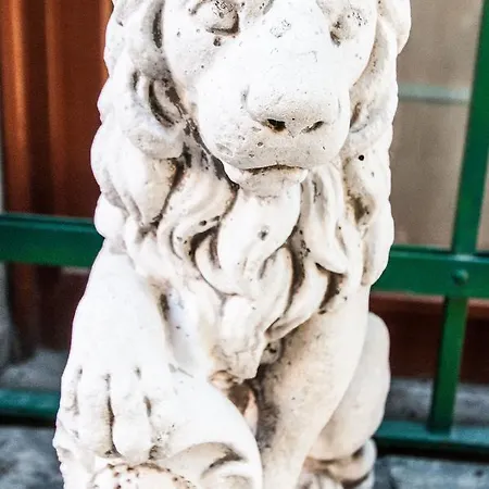 Ve-nice Rio Marin Sc847 *